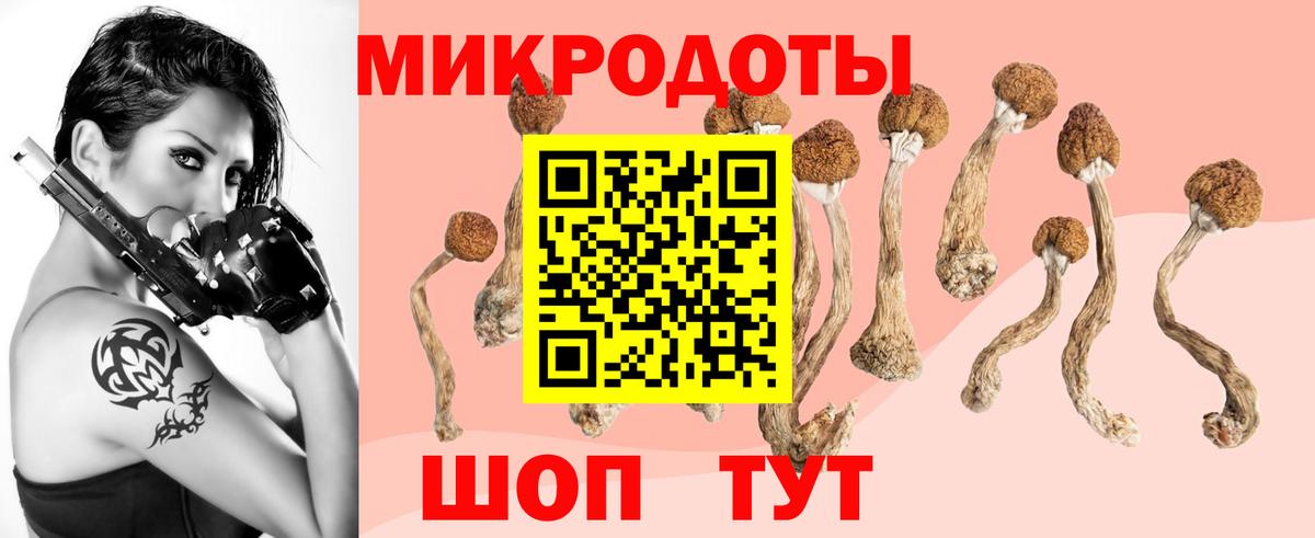 Псилоцибиновые грибы мухоморы Анжеро-Судженск