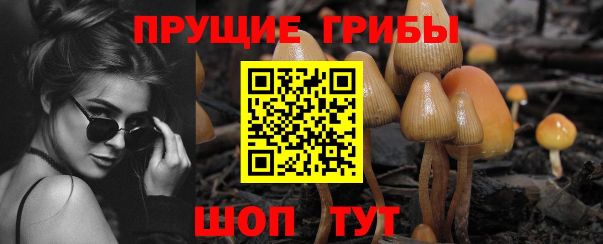 Галлюциногенные грибы Psilocybine cubensis  Вход с VPN  Анжеро-Судженск 